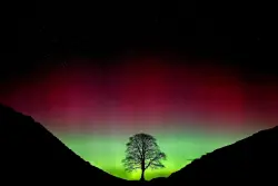 2 men convicted in chainsaw massacre of UK’s beloved Sycamore Gap tree