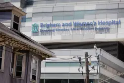 Glioblastoma brain cancer research: Boston study provides glimmer of hope