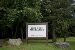 Massachusetts priest dies after crash near Blue Hills Reservation in Milton