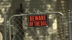 ‘He was mauling that child to death:’ 8-year-old taken to hospital after dog attack in Manchester, NH
